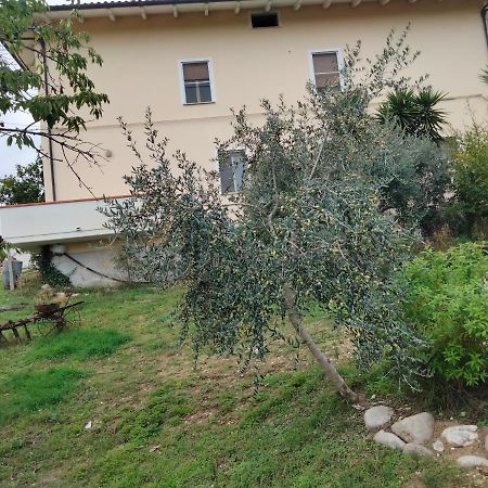 Casa Il Canto Торторето Экстерьер фото